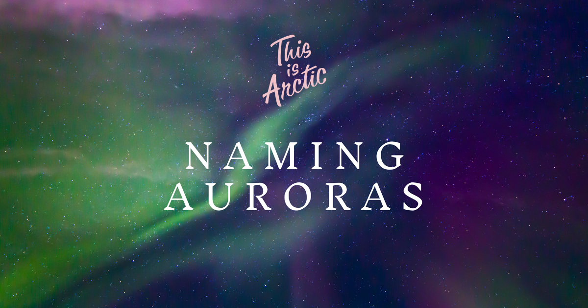 auroras of autumn text